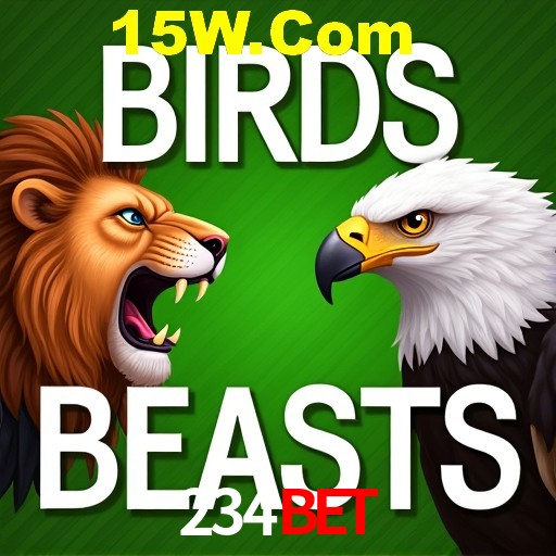234BET Rio de Janeiro - Bonus Terms
